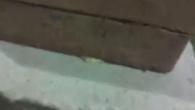 Клей для блоков и кирпичной кладки PU 700 видео2