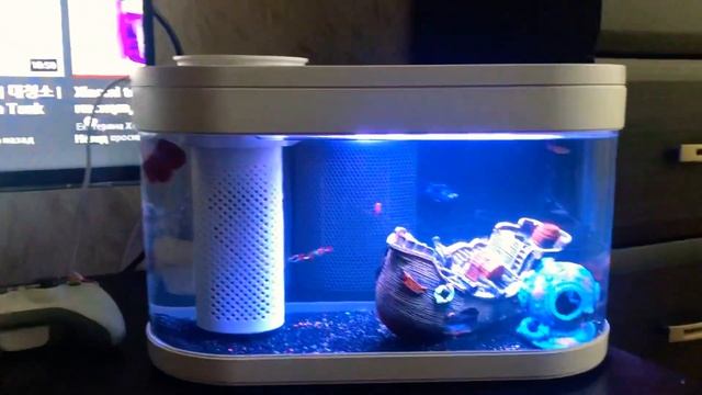 Xiaomi Мини-Ферма-Аквариум честный отзыв ! смотреть онлайн