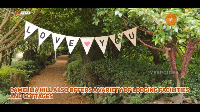 Camellia Hill ( arboretum Camellia) in Jeju Island смотреть онлайн
