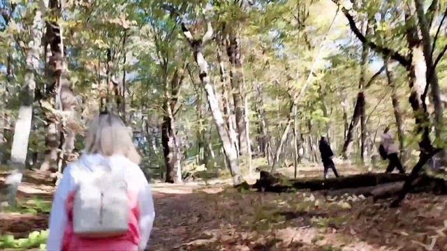 ОЧЕРЕДНАЯ ПОЕЗДКА В ГОРЯЧИЙ КЛЮЧ.?⛰️ смотреть онлайн