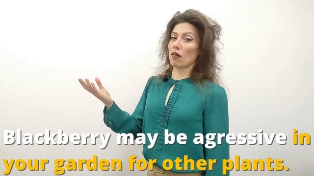 Черника или голубика? Ягоды на английском | Modern English | Говори Современно! смотреть онлайн