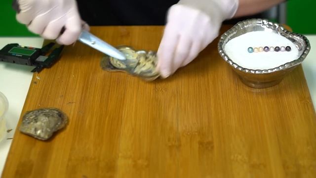 Surprise Pearls! (Reveals 15400 - 15427) смотреть онлайн