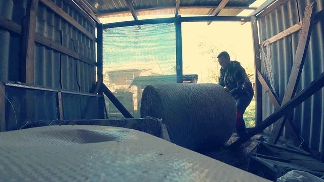 ? Нашелся новый жених. \\ Принц не задался. \\ Заготовка сена или жизнь на юге России. смотреть онлайн