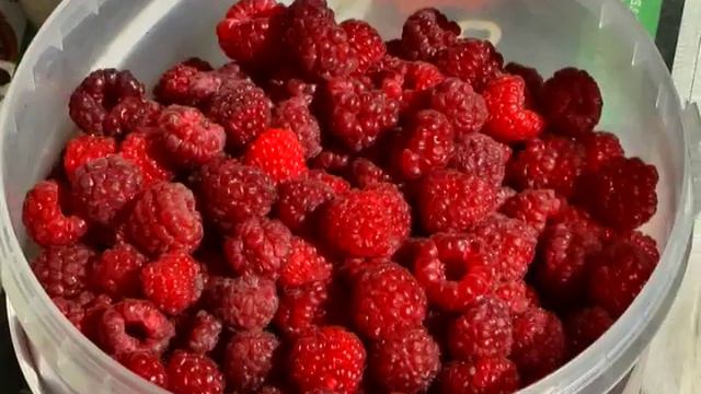 День варенья смотреть онлайн