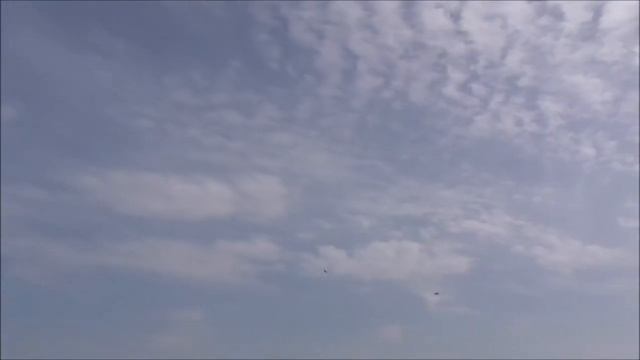 RBCkits Siebel 202C смотреть онлайн