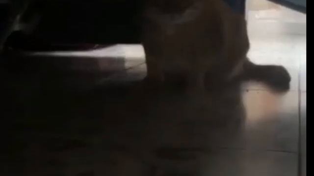 СтЫд И пОзОр смотреть онлайн