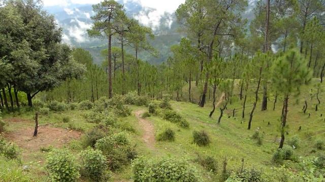 Гималайские виды смотреть онлайн
