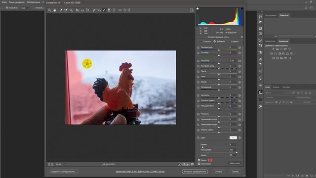 Adobe Photoshop camera RAW смотреть онлайн
