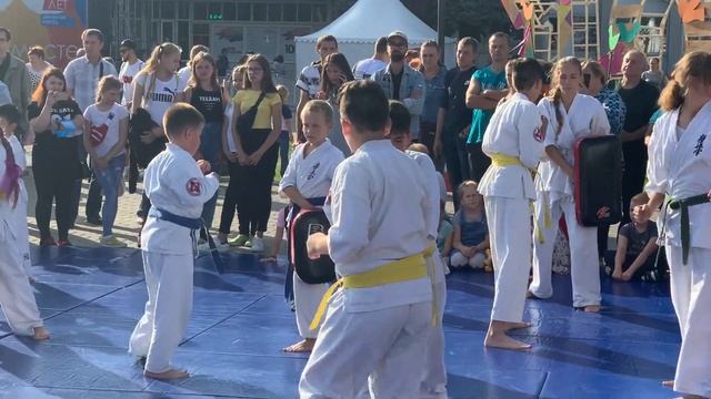 Показательное выступление Каратэ Киокушинкай смотреть онлайн