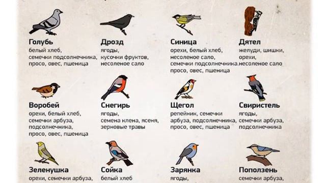 Покормите птиц зимой (Харцызская центральная детская библиотека) смотреть онлайн