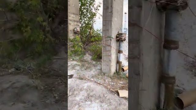 А вот кадры, как бравые солдаты ВСУ минируют мост, дабы их «побратымы» не могли отступить. смотреть онлайн