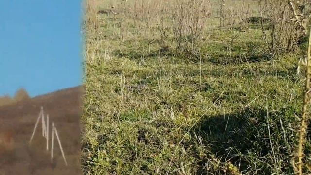 РЫБАЛКА. КОП МОНЕТ. ТАКОГО Я НЕ ЛОВИЛ! смотреть онлайн