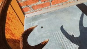 Трофейное дело. Реставрация медальона с рогом лося своими руками. Часть 3-я: покраска.