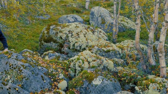 Поход в тундру крайнего севера в одиночку. Hiking In The Tundra Of The Far North Alone.