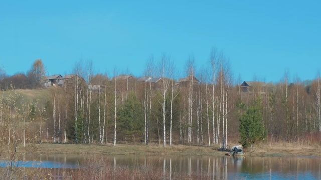 Весна в Костромской области. Тает снег, текут ручьи... А на прогретых местах - сморчковые шапочки! смотреть онлайн