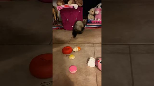 What is she doing 🤪 смотреть онлайн