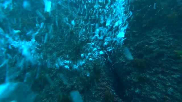 Потерялись в Чёрном море смотреть онлайн