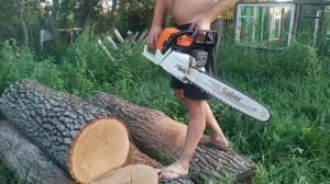 Stihl MS 341 Husqvarna 372XP распил сухого дуба / Stihl MS341 Husqvarna 372XP sawing dry oak 19 inc
