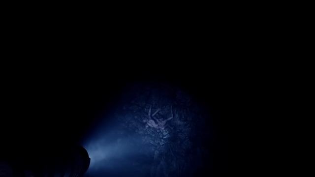 Sons of the Forest: Alles Infos zum Spiel - Beste Survival FPS 2023 schon im Februar? смотреть онлайн