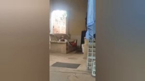 Юмор,приколы,испуг.