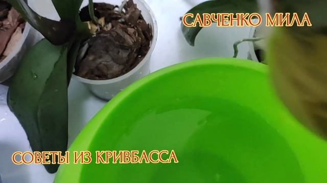 Удобрение Для Орхидей В Домашних Условиях смотреть онлайн