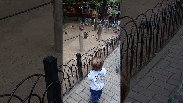 12 августа 2021 г. смотреть онлайн