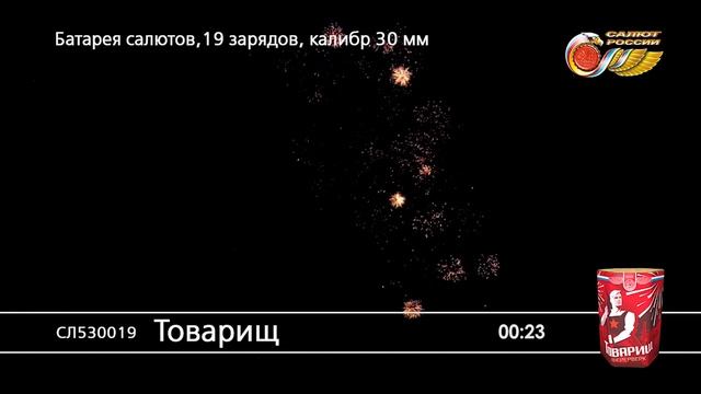 СЛ530019 Товарищ смотреть онлайн