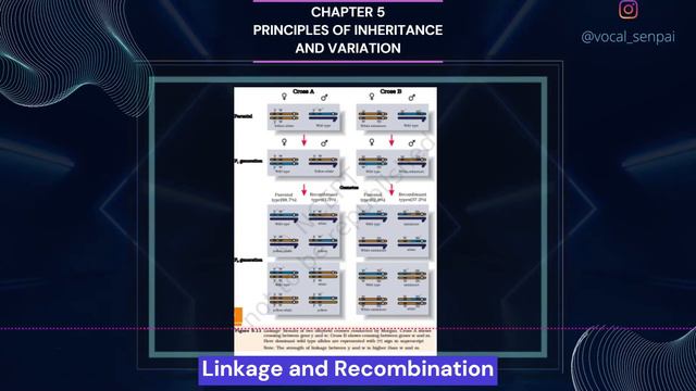 Chapter 5 PRINCIPLES OF INHERITANCEAND VARIATION Class 12 Biology NCERT Audio Book Reading Only смотреть онлайн