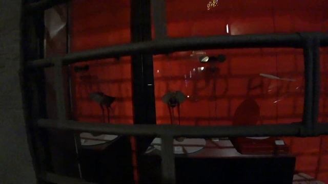 Работаю в цирке с 18ти лет. Каково это?! смотреть онлайн