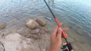 Рыбалка на спиннинг видео. Воблер Yo-zuri L-minnow 66 в деле