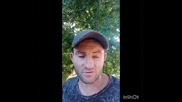 Почему зло не прекращается? смотреть онлайн