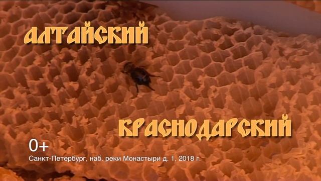 Православная выставка-ярмарка "Медовый Спас" - с 1 по 7 августа смотреть онлайн