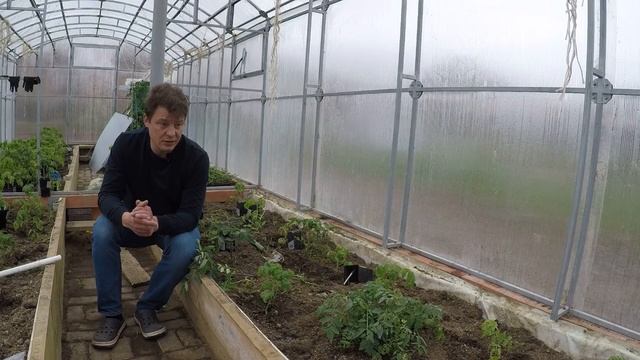 солнечная печь выводы и сравнение рассады 6 мая финал смотреть онлайн