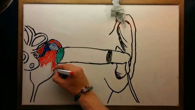 What Is Sound? смотреть онлайн