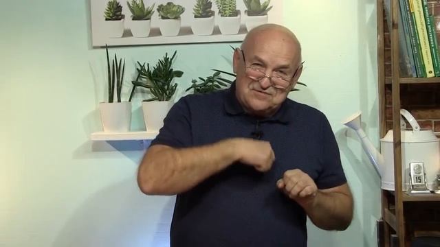 Дачные сезоны с Мариной Рыкалиной 15.01.19. Герань формировка. Редис на окне. Огурцы подкормка. смотреть онлайн