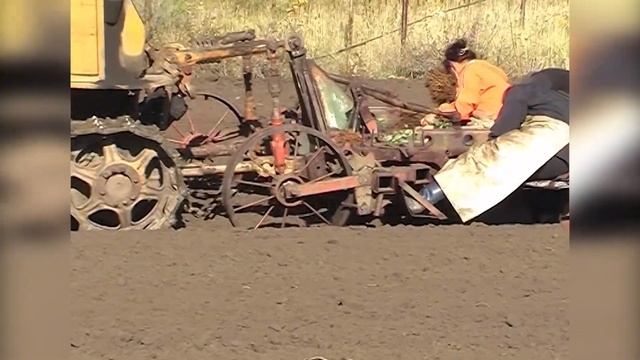 19.07.2019 г. Семинар по направлению - Плодово-ягодные культуры смотреть онлайн