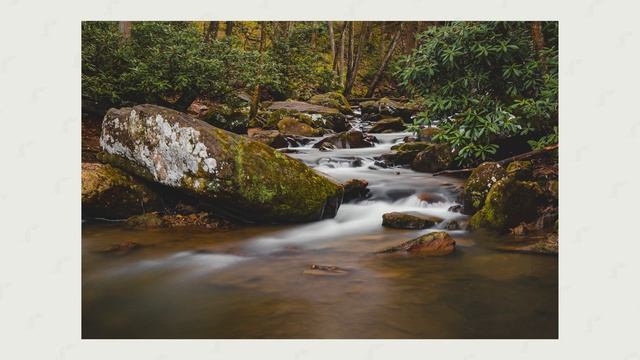 Canon R6 // One Year Review смотреть онлайн