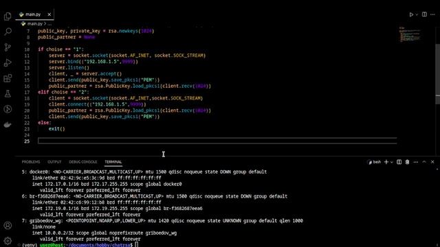 Пишем анонимный чат с шифрованием RSA на Python смотреть онлайн