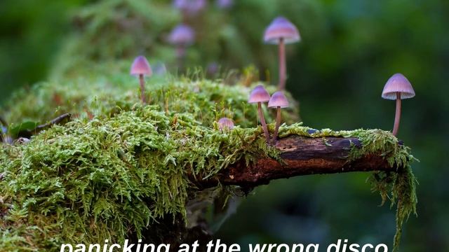 cosmo sheldrake "the moss" but you're in the forest смотреть онлайн