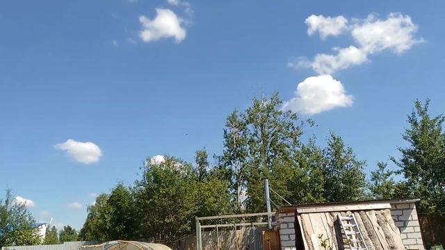 мелких енотов 5 штук. 5. штук. штук 5. смотреть онлайн