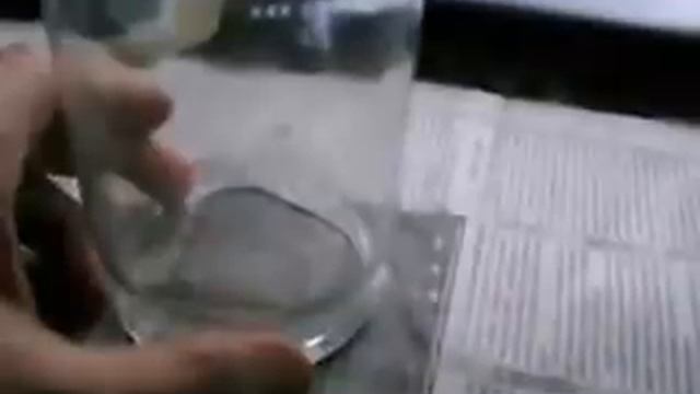 Как ловить мышей смотреть онлайн
