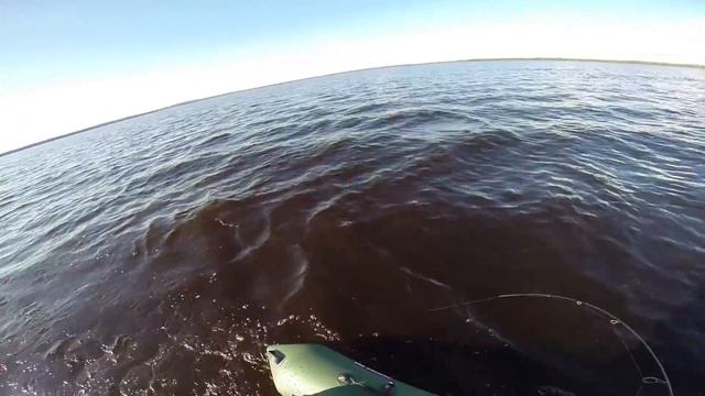 Щука на троллинг смотреть онлайн