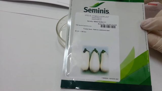 Бибо F1 семена баклажана (Seminis), Антифейк Часть 33 смотреть онлайн