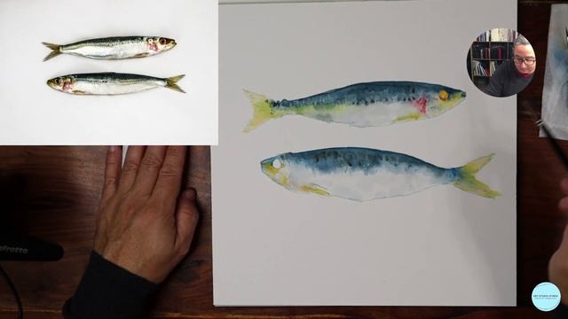 Watercolor Fish смотреть онлайн