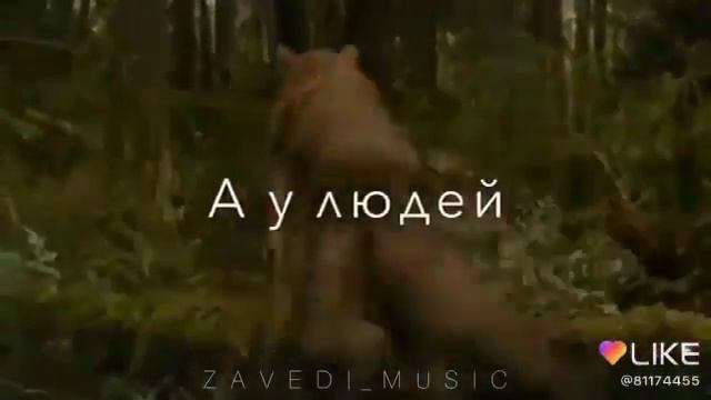 Истинная любовь . смотреть онлайн