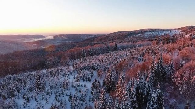 Patrick Patrikios. Lights смотреть онлайн