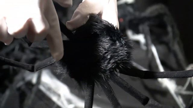 Большие пауки на Хэллоуин / Обзор смотреть онлайн