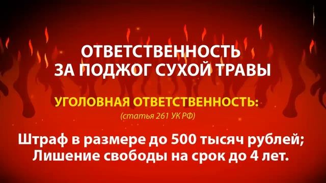 ПАЛ сухой травы - ПРЕСТУПЛЕНИЕ_0.mp4 смотреть онлайн