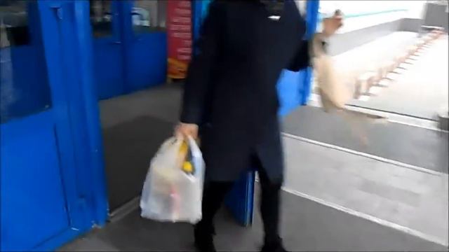 Всероссийская акция "Георгиевская ленточка" в Березовском районе смотреть онлайн