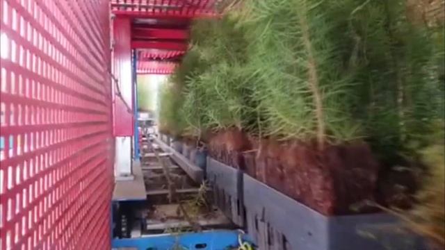 Полезное видео для лесных питомников. Как работают машины от Urbinati смотреть онлайн